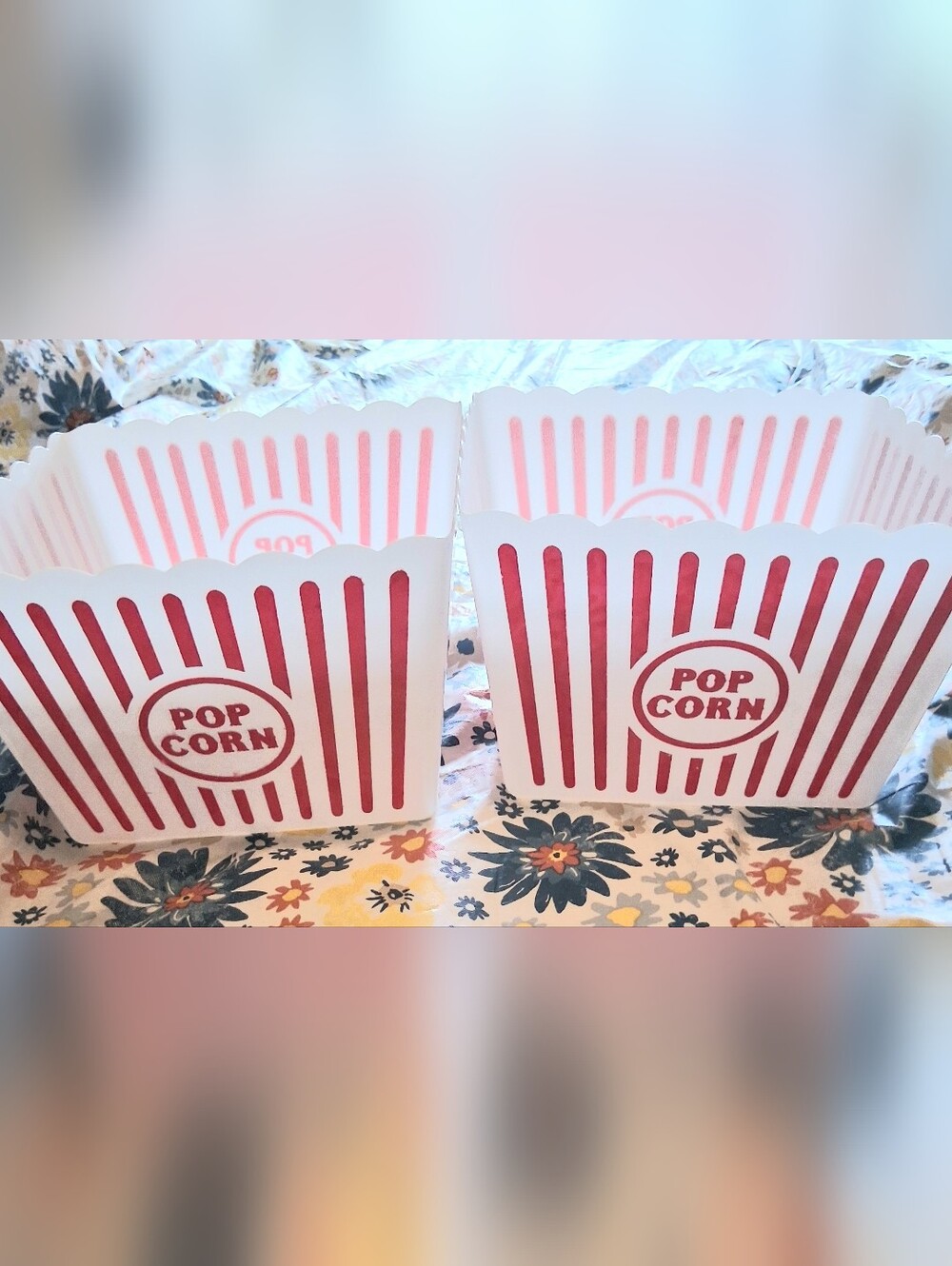 Classic Red & White Large Hard Plastic Popcorn Containers - 2-Pack